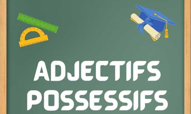 Les Adjectifs Possessifs