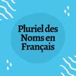 Le Pluriel des Noms en Français