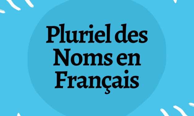 Le Pluriel des Noms en Français